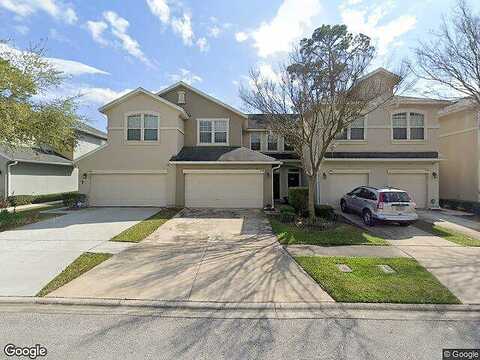 American Holly, JACKSONVILLE, FL 32226