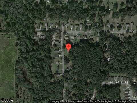 Holly, MOUNT DORA, FL 32757