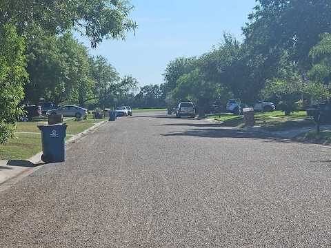 Mockingbird, SAN BENITO, TX 78586