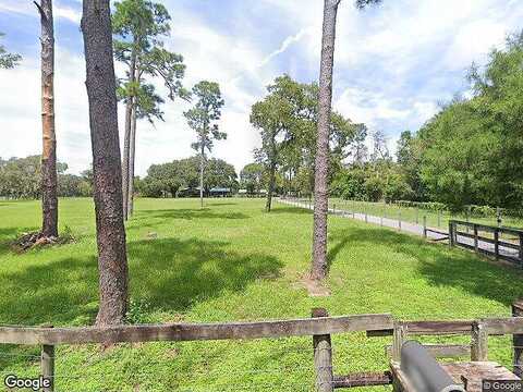 Rookery, NEW PORT RICHEY, FL 34654