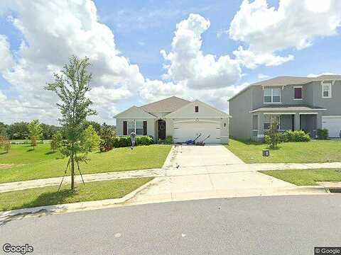 Black Walnut, CLERMONT, FL 34715