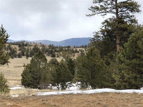 133 Joyce Lane, Hartsel, CO 80449