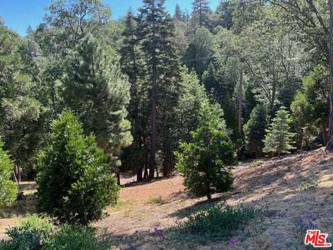 197 MILL POND RD, LAKE ARROWHEAD, CA 92352