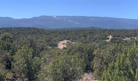 16 Via Entrada, Sandia Park, NM 87047