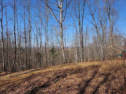 33.28ac Tiny Homes Lane, Thorn Hill, TN 37881