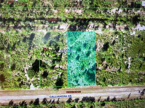 1106 CALLIANDRA DRIVE, INDIAN LAKE ESTATES, FL 33855