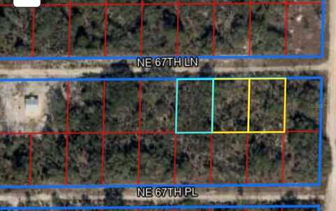 0 NE 67TH LANE, WILLISTON, FL 32696