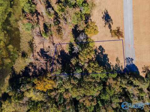 Lot 12 Lake Creek Drive, Guntersville, AL 35016