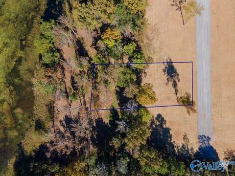 Lot 11 Lake Creek Drive, Guntersville, AL 35976