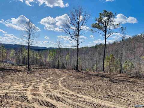 170 Acres County Road 21, Ashville, AL 35953