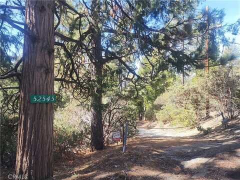 52547 Pine Cove Road, Idyllwild, CA 92549