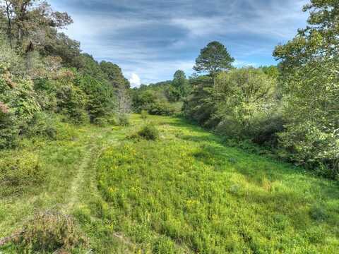 19+ Ac Tails Creek Road, Ellijay, GA 30540