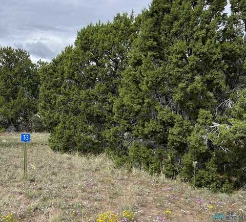 221 El Caso Road, Quemado, NM 87829