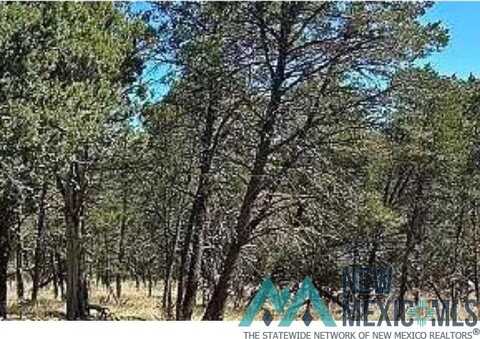 Lot 20 Norwood Road, Timberon, NM 88350