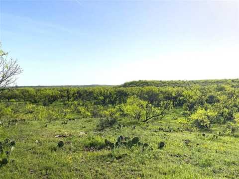 333 Acres County Road 414, Throckmorton, TX 76483