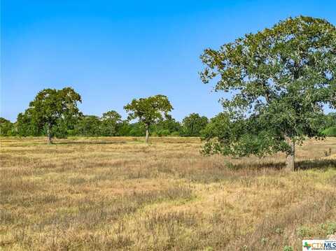 3 Big Sky Ranch RD, Smithville, TX 78957