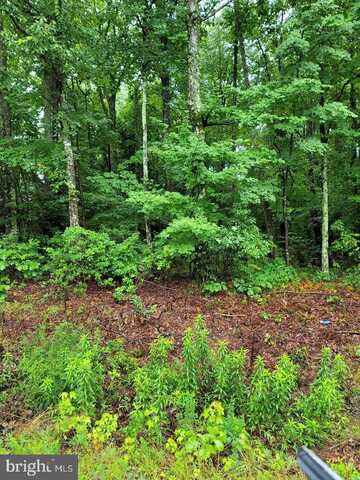 Lot 18 MATILDA LANE, MONTROSS, VA 22520