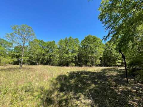 0 Farmers Road, Alamo, GA 30411