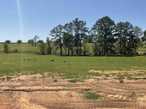 TBD Lakeland Ranch Sec 1, Blk 2, Lot 67, Hillister, TX 77624