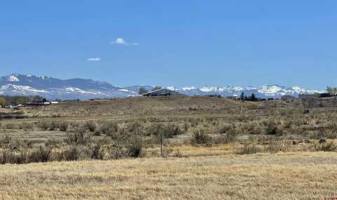 Lot 2 Jig Road, Montrose, CO 81403