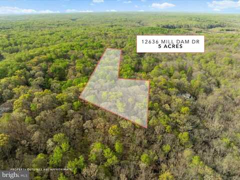 12636 MILL DAM DR, CLIFTON, VA 20124