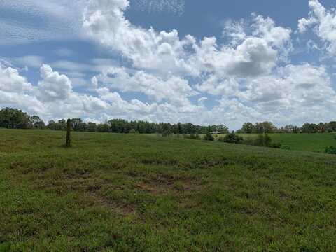 Lot 112 Fox Lake, Blairsville, GA 30512