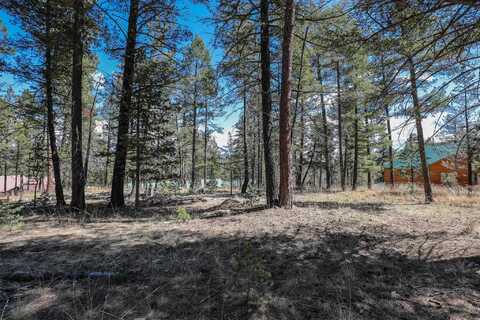 Lot 22 Honey Bear, Mayhill, NM 88339