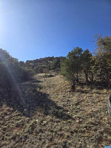 Black Dog Road, Silver City, NM 88061