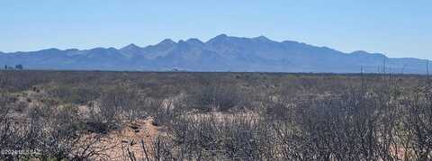 324 Acres Hwy 191, Elfrida, AZ 85610