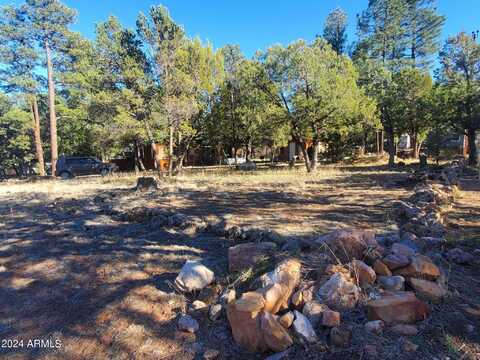 2181 HASHKNIFE Drive, Overgaard, AZ 85933