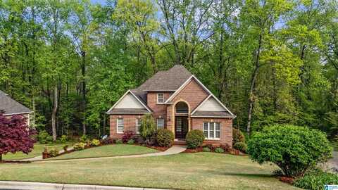 307 MIDDLE RIDGE DRIVE, SPRINGVILLE, AL 35146