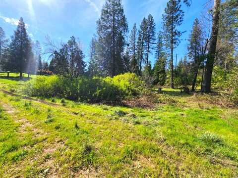 1077 Winton Road, West Point, CA 95255