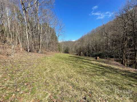 81 Peepeye Cove Road, Leicester, NC 28748