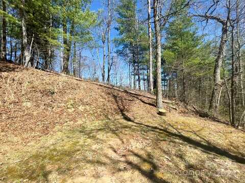 Saturn Way unit: 3, Bryson City, NC 28781