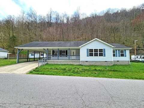 632 ACCOVILLE HOLLOW RD, ACCOVILLE, WV 25635