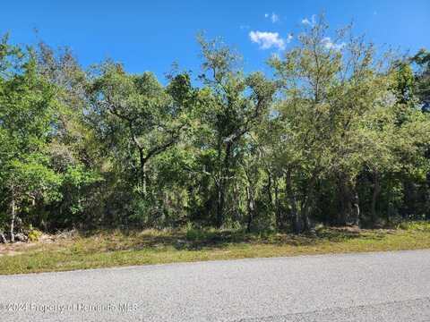 10389 Marvista Court, Weeki Wachee, FL 34614