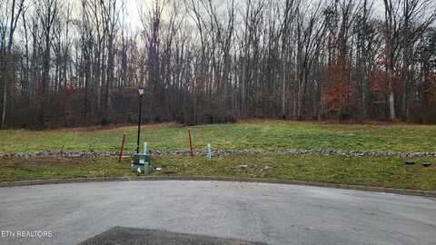 5 Lots In cul-de-sac of Sweeping Rain Lane, Knoxville, TN 37931