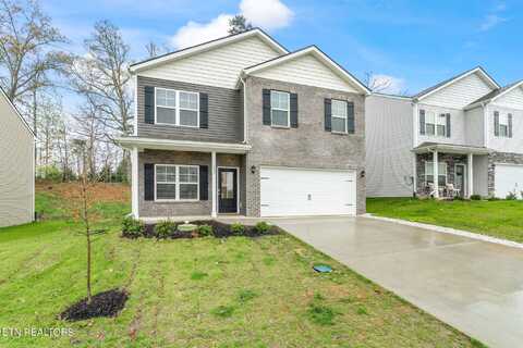 1005 Curly Top Lane, Knoxville, TN 37932