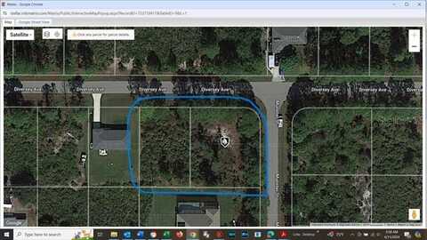 12195 & 12185 DIVERSEY AVENUE, PORT CHARLOTTE, FL 33981