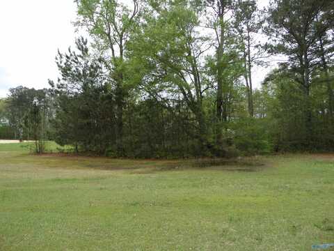 Lot Rhea Street, Gadsden, AL 35903