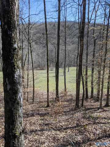 100 Acres NW County Road 119 NW, Limrock, AL 35966