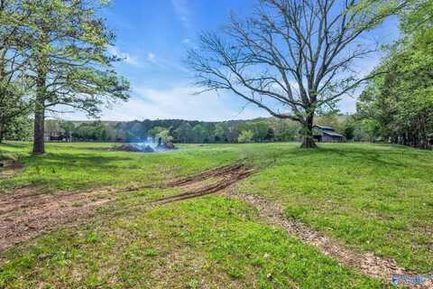 8.6 Acs Old Big Cove Road, Owens Cross Roads, AL 35763