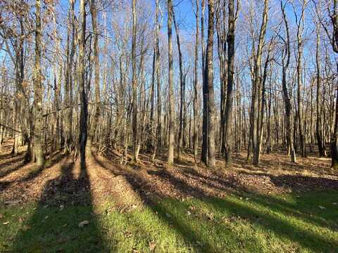 Lots 122 & 123 Goldenrod Drive, Terra Alta, WV 26764