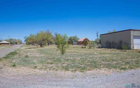 Lot: 1-2 Block 14, Willard, NM 87063