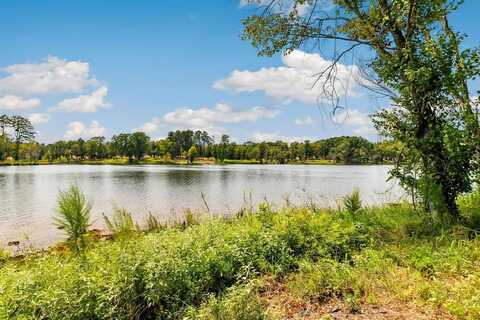 Lot 40 Big Rock Lake Road, Hallsville, TX 75650