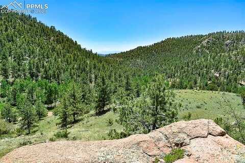 101 Floresta Drive, Florissant, CO 80816