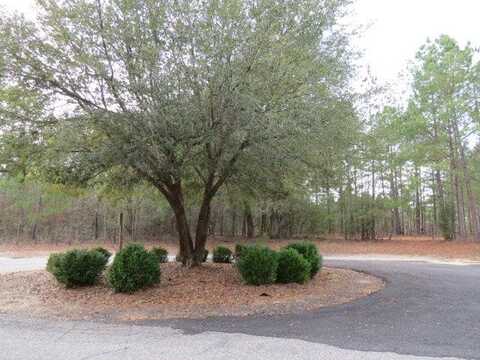 5575 Randolph St lot 109, Rembert, SC 29128