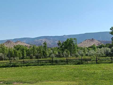 691 County Road 142, Medanales, NM 87548