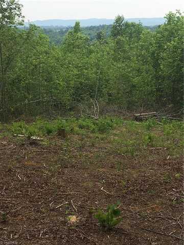 Tract 5 River Rd Liberty Grove Road, North Wilkesboro, NC 28659