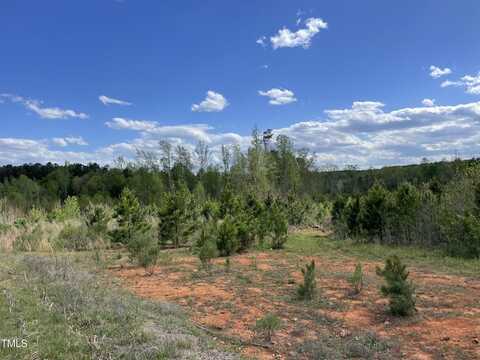 0 Burgess Road Tract # 1, Middlesex, NC 27557